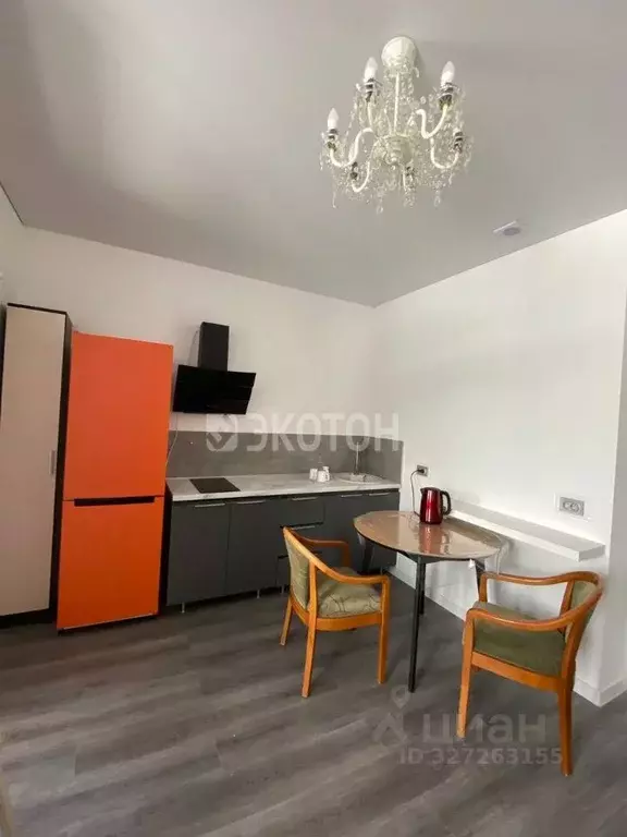 Студия Санкт-Петербург Пулковское ш., 99к6 (24.0 м) - Фото 1