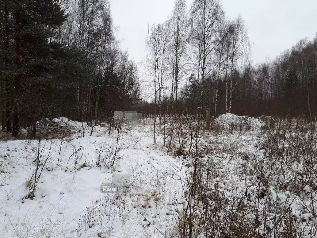 Участок в Московская область, Электроугли Богородский городской округ, ... - Фото 1