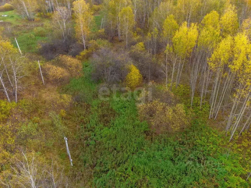 Участок в Тюменская область, Тюмень Зеленый Бор ДНТСН,  (11.0 сот.) - Фото 1