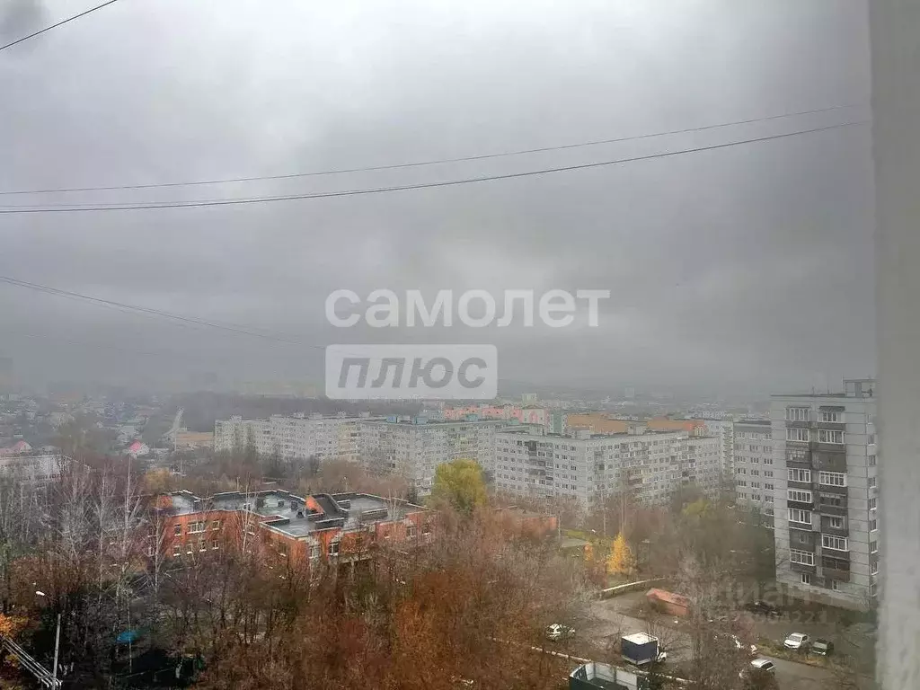 1-к кв. Пензенская область, Пенза Российская ул., 29 (31.7 м) - Фото 2