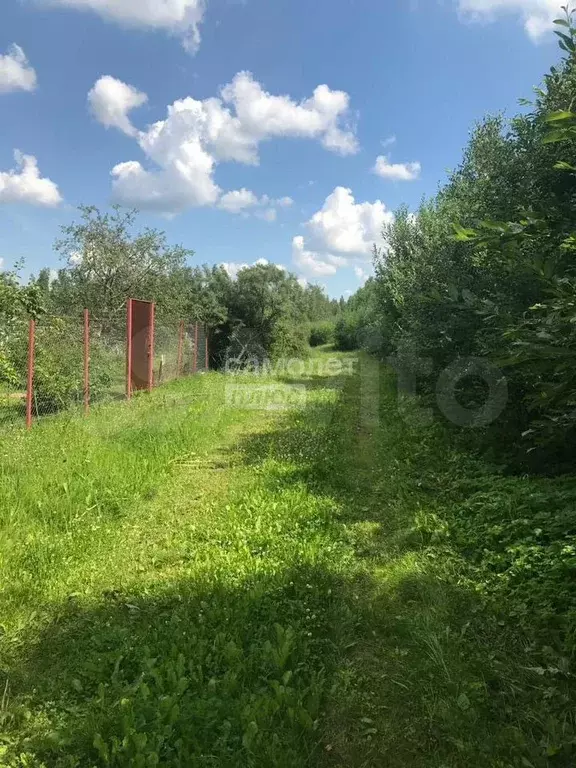 Участок 5,3 сот. (СНТ, ДНП) - Фото 1