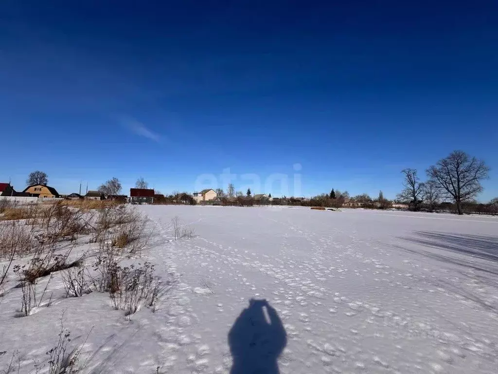 Участок в Курская область, Октябрьский район, Прямицыно муниципальное ... - Фото 1