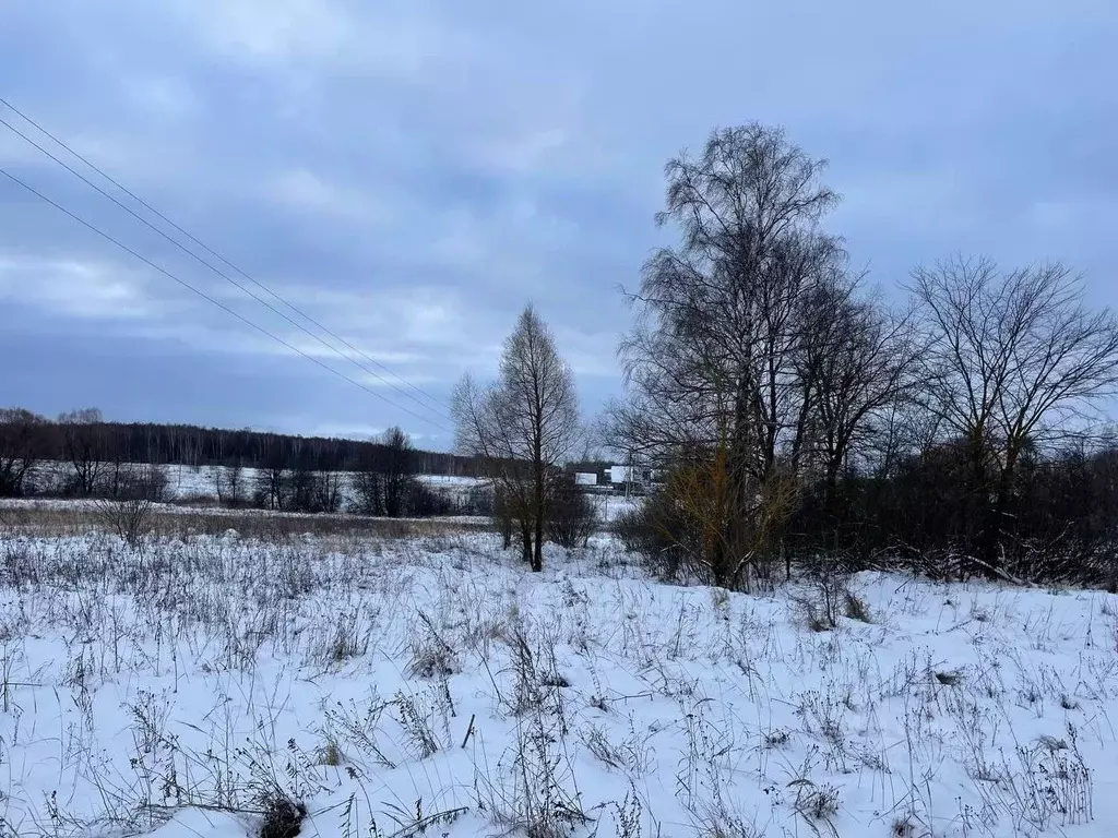 Участок в Московская область, Серпухов городской округ, д. Рыжиково  ... - Фото 0