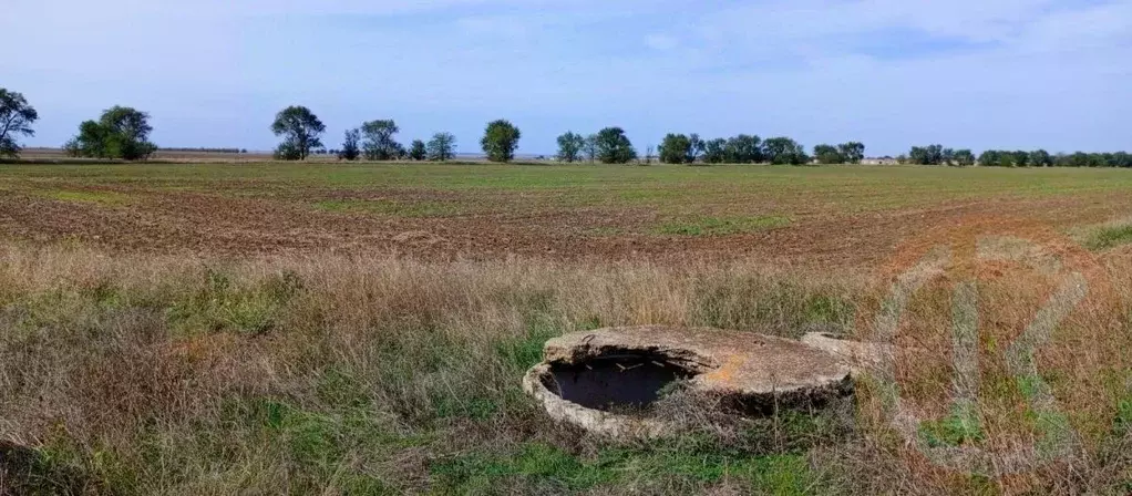 Участок в Крым, Сакский район, с. Добрушино  (100.0 сот.) - Фото 2
