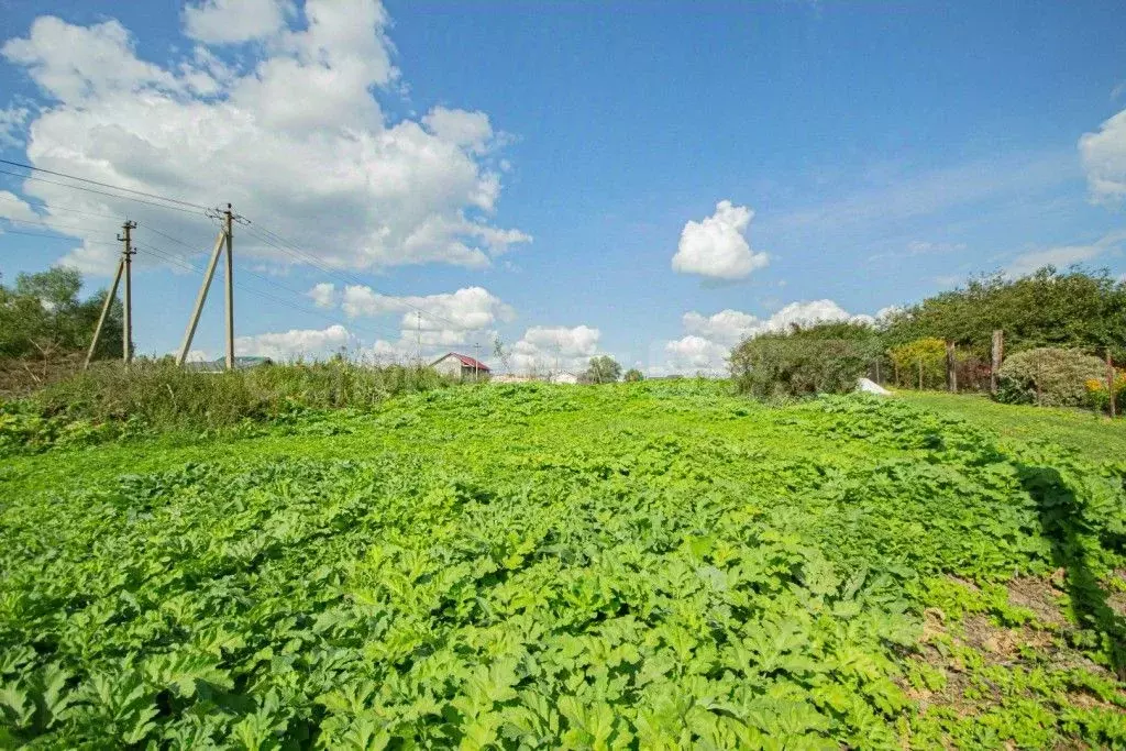 Участок в Московская область, Наро-Фоминский городской округ, с. ... - Фото 1