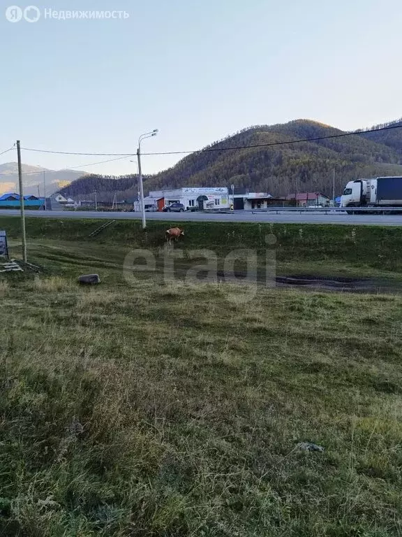 Дом в Шебалино, улица Мелиораторов (80 м) - Фото 1