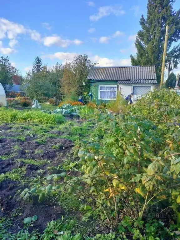 Участок в Тюменская область, Тюмень Плодовое СНТ, ул. Малиновая (4.0 ... - Фото 1