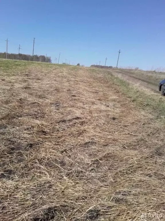 Участок в Свердловская область, Талицкий муниципальный округ, с. ... - Фото 1