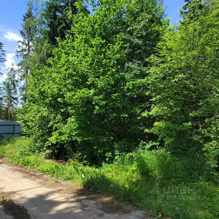 Участок в Московская область, Одинцовский городской округ, д. Сивково, ... - Фото 2