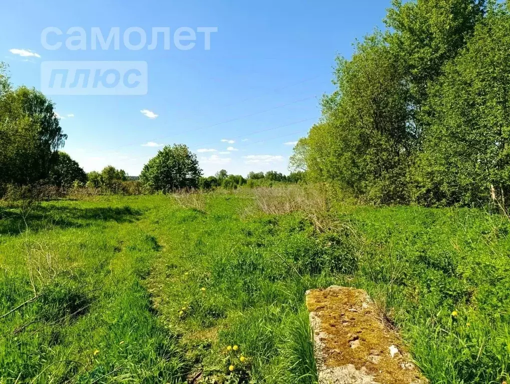 Участок в Московская область, Солнечногорск городской округ, д. Новое ... - Фото 0