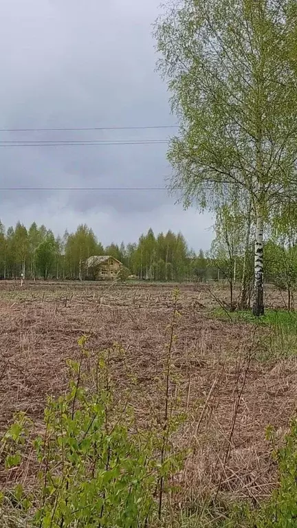 Участок в Тверская область, Конаковский муниципальный округ, с. ... - Фото 1