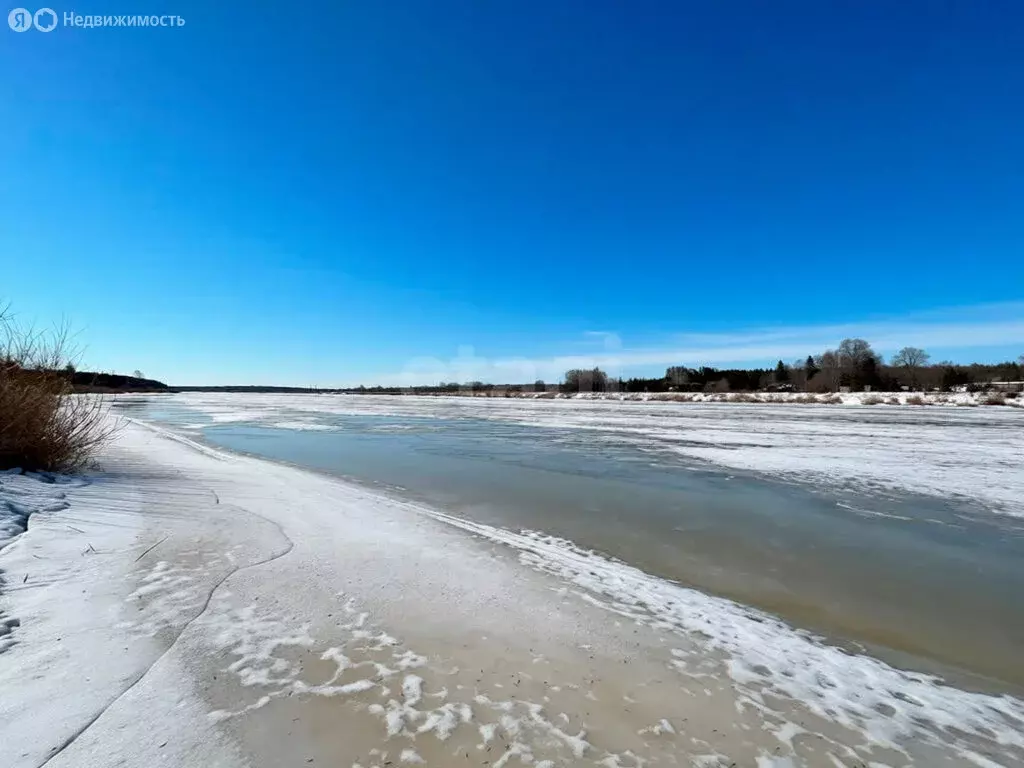 Участок в Псковский район, Тямшанская волость, садоводческое ... - Фото 2