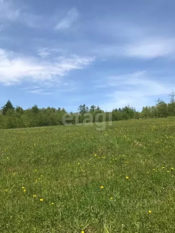 участок в сахалинская область, анивский городской округ, с. . - Фото 1