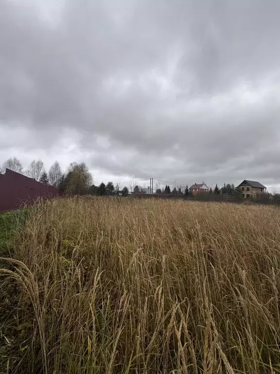 Продается участок в с. Новлянское - Фото 1