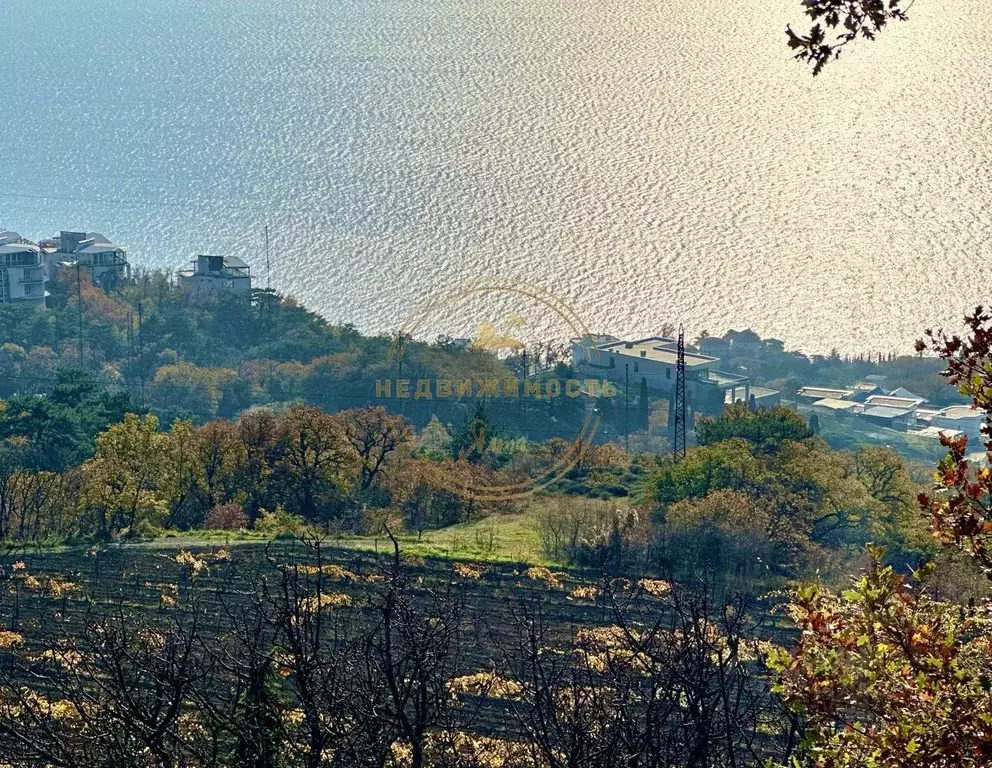 Участок в Крым, Ялта муниципальный округ, Массандра пгт ш. ... - Фото 1