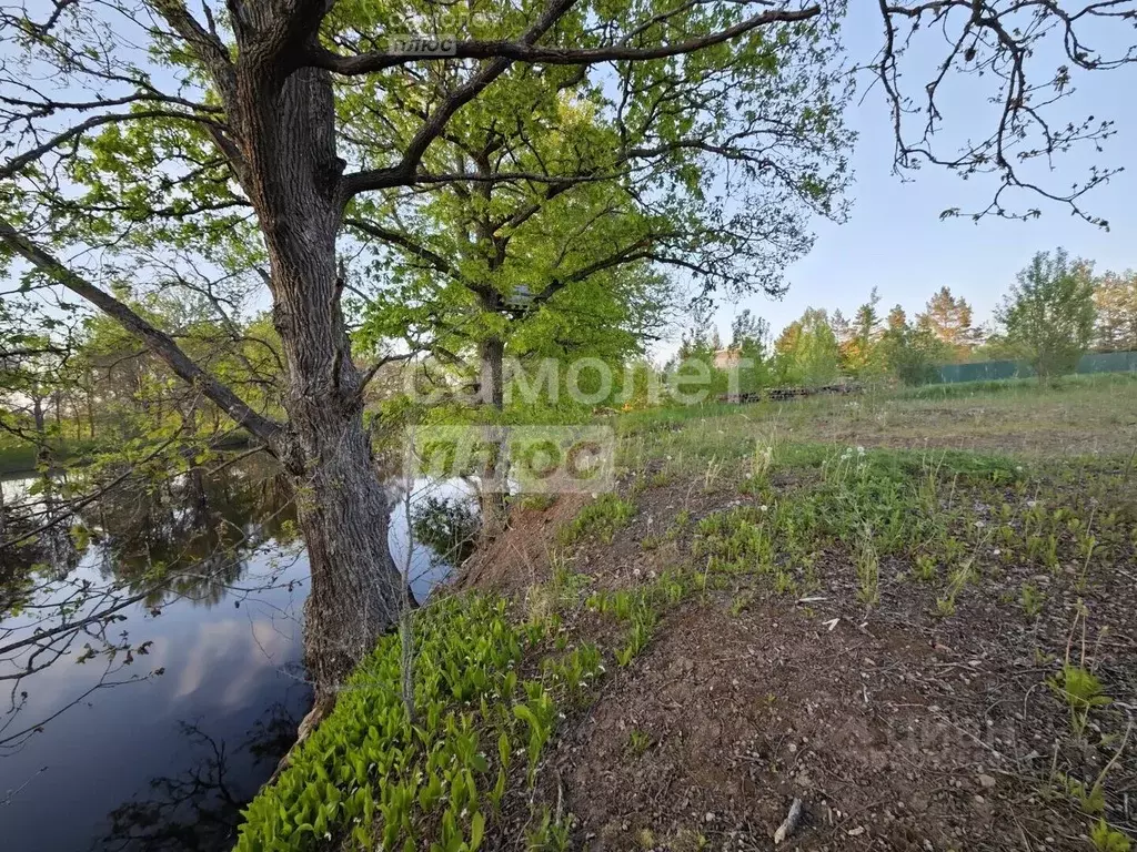 участок в новгородская область, новгородский район, борковское с/пос, . - Фото 1