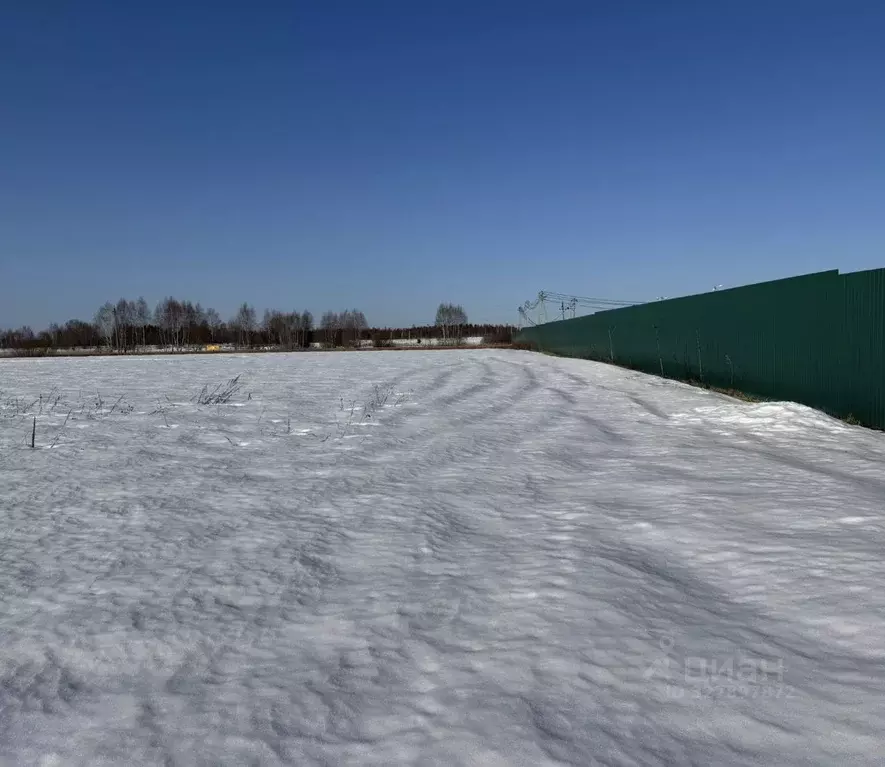 Участок в Московская область, Можайский муниципальный округ, Форест ... - Фото 2