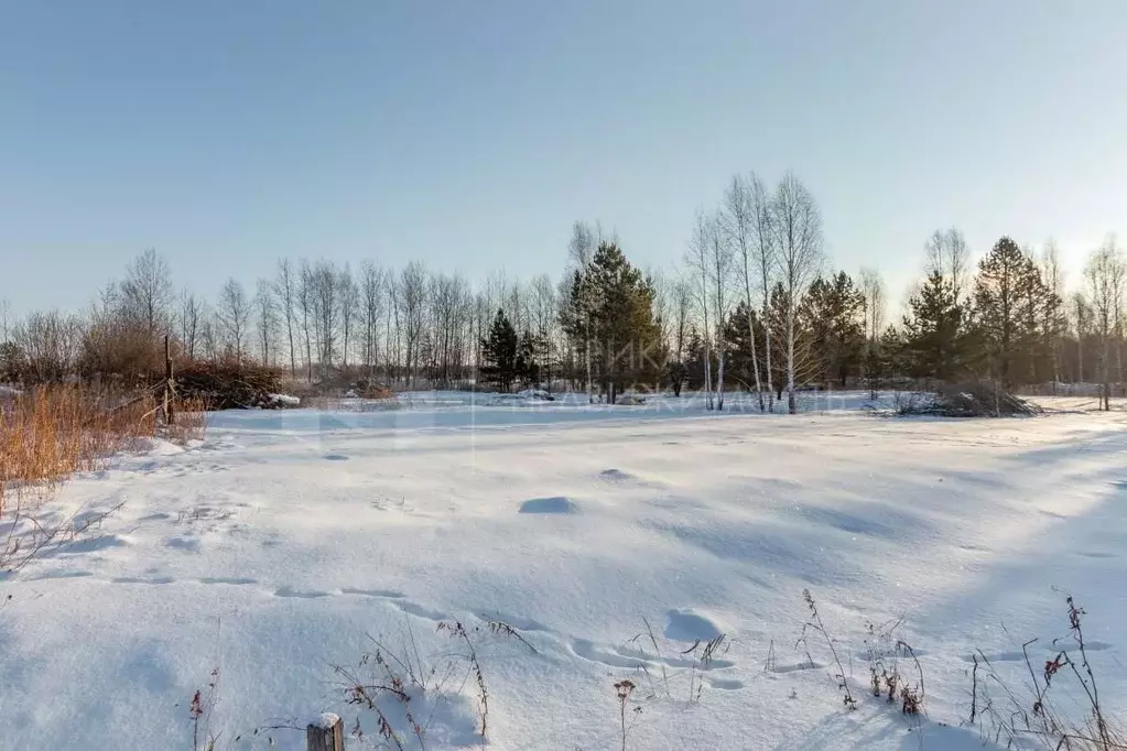 Участок в Тюменская область, Тюменский муниципальный округ, Янтарное ... - Фото 2