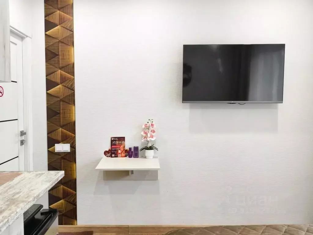 1-к кв. Красноярский край, Красноярск ул. Весны, 7 (18.0 м) - Фото 2