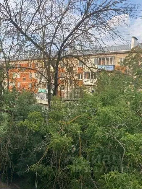 2-к кв. Владимирская область, Владимир ул. Доватора, 2 (37.6 м) - Фото 1