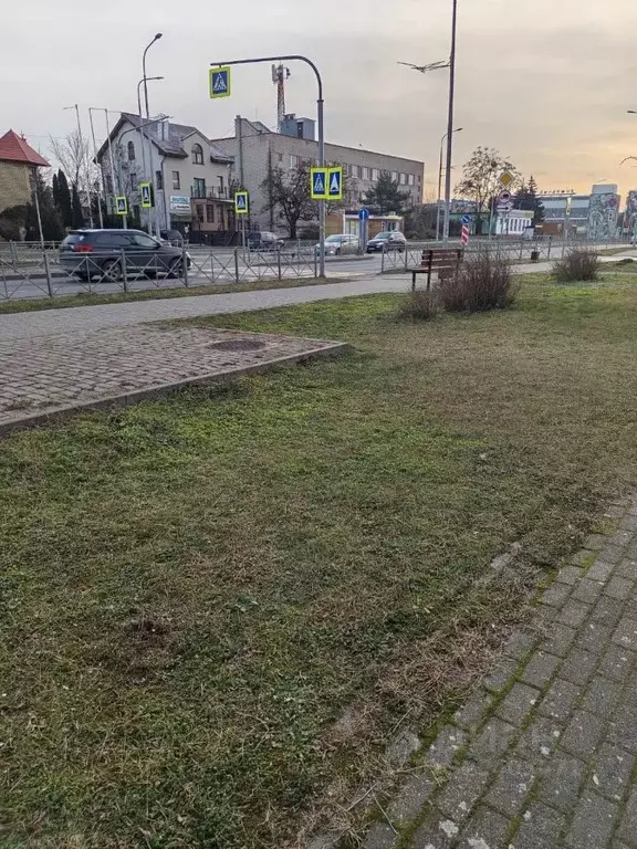 Помещение свободного назначения в Калининградская область, Светлый ... - Фото 2