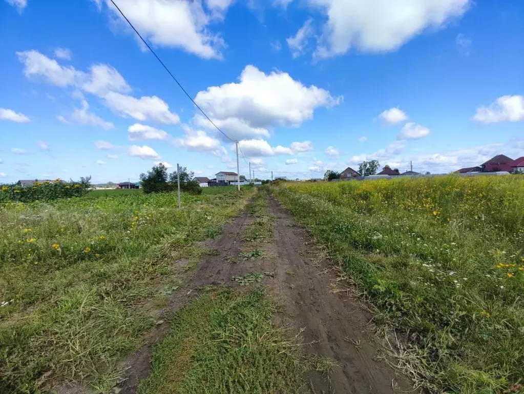 Участок в Брянская область, Брянский район, Добрунское с/пос, д. ... - Фото 2