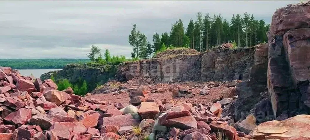 Участок в Карелия, Прионежский район, Шокшинское с/пос, пос. ... - Фото 1