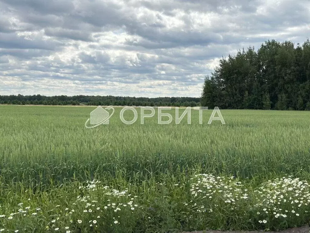 Участок в Тюменская область, Тюменский район, с. Щербак  (4.8 сот.) - Фото 0