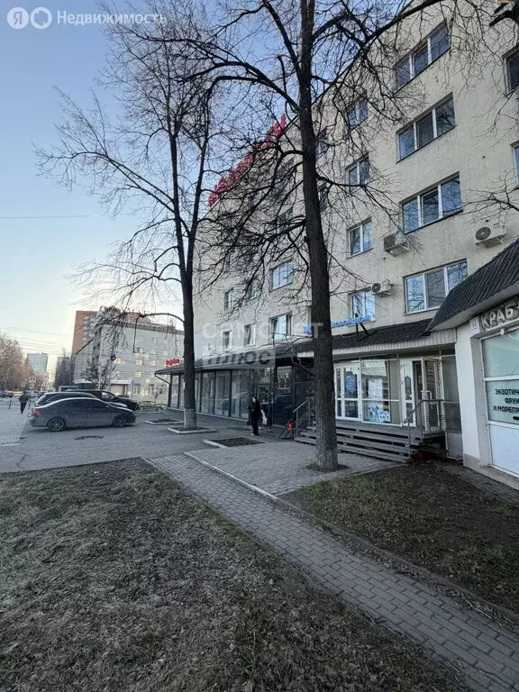 Офис (130 м) - Фото 1