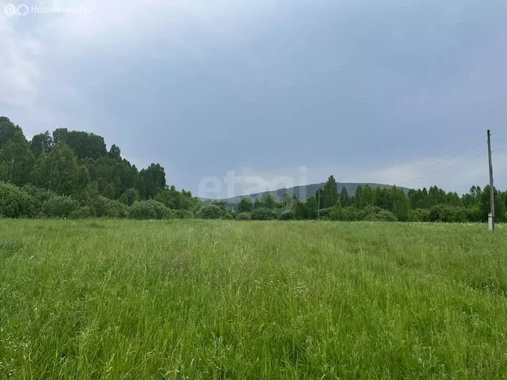 Участок в Майминский район, село Кызыл-Озек (10 м) - Фото 1