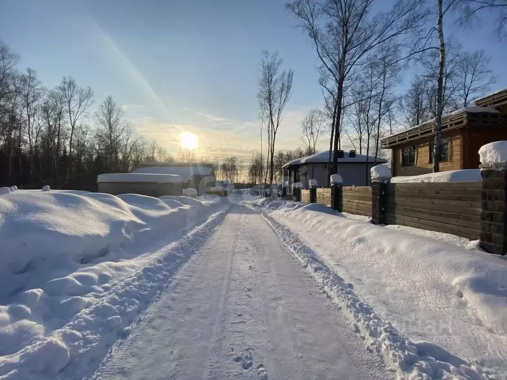 Участок в Московская область, Мытищи городской округ, д. Еремино ул. ... - Фото 0