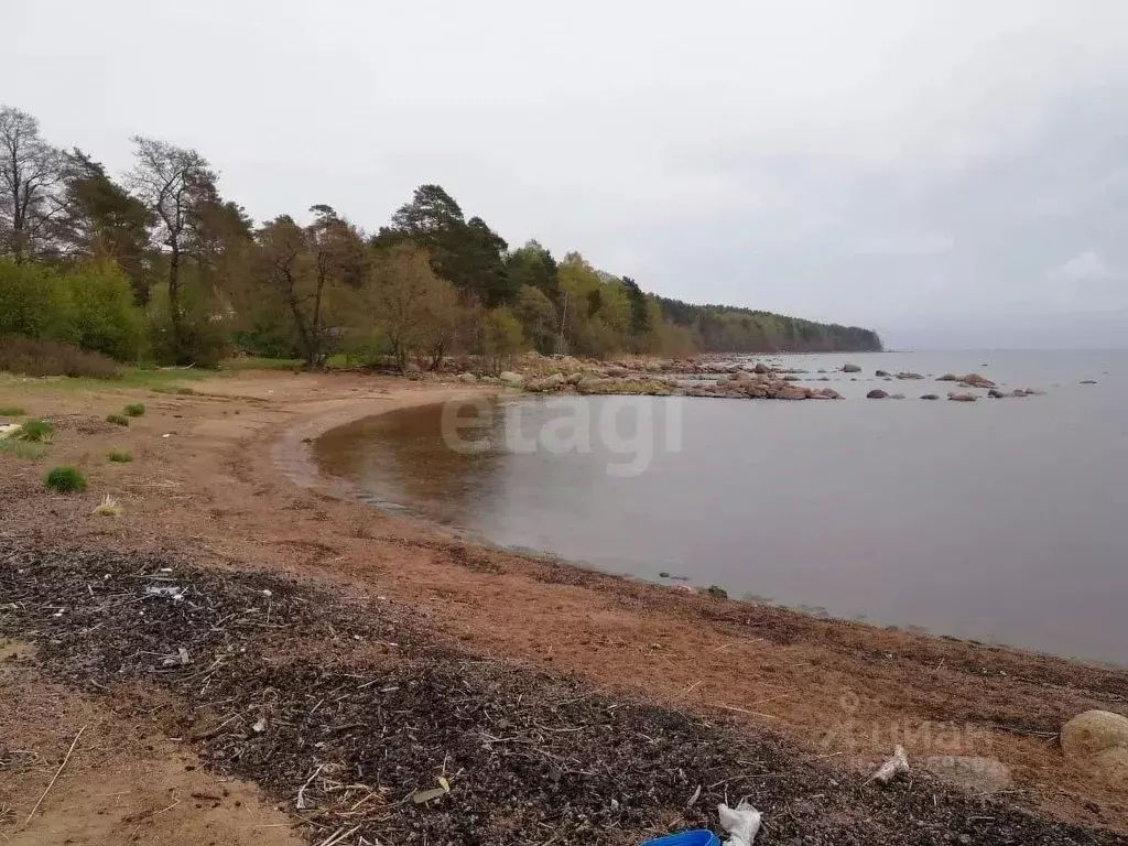 Участок в Ленинградская область, Приморск Березовый пер. (12.65 сот.) - Фото 1