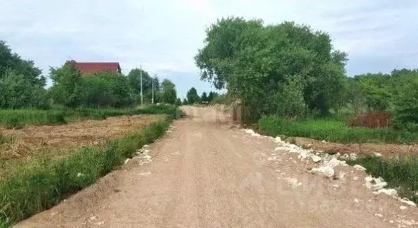 Участок в Калининградская область, Гурьевский муниципальный округ, ... - Фото 0