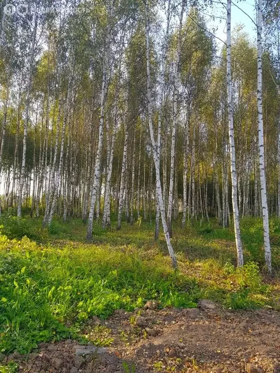 Участок в Дмитровский городской округ, деревня Афанасово-3 (8 м) - Фото 0