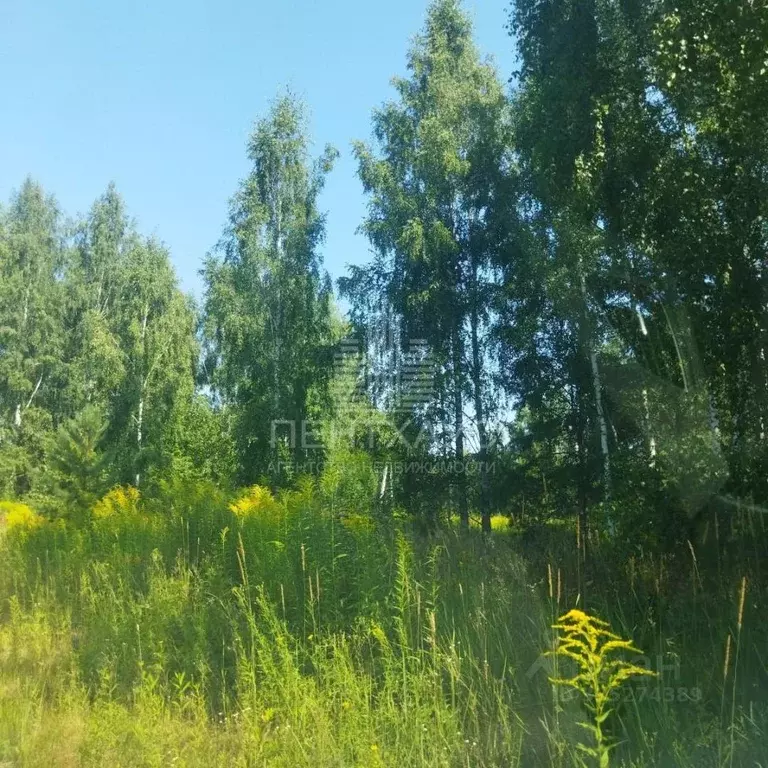 Участок в Владимирская область, Владимир сад Заречье, 83 (10.0 сот.) - Фото 0