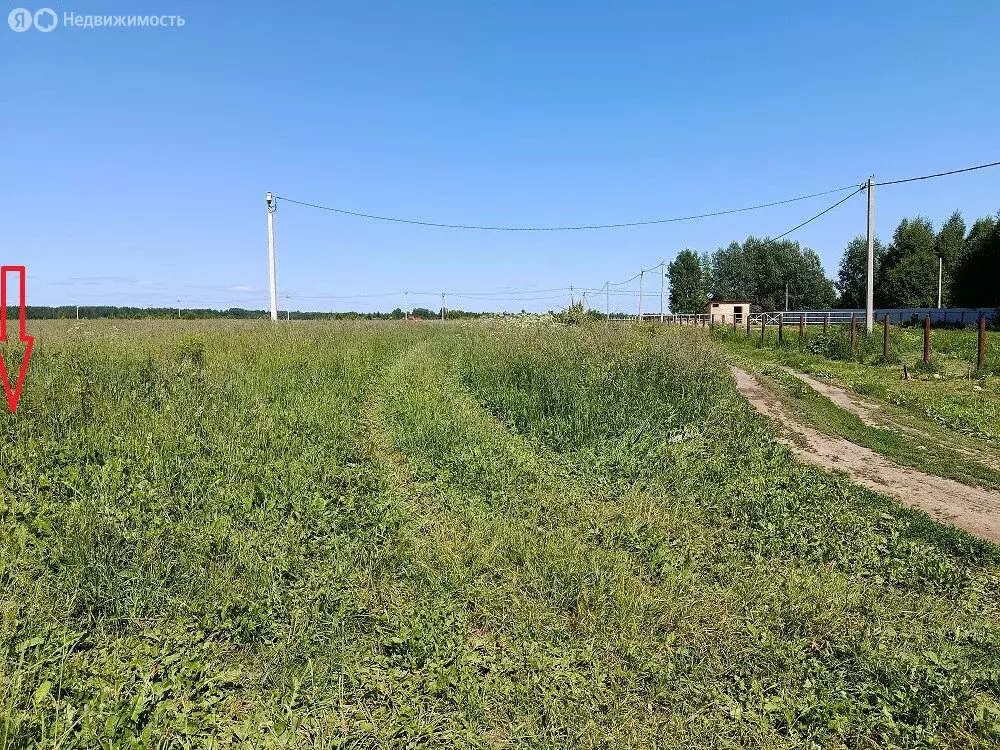 Участок в Ярославский муниципальный округ, деревня Болково (8 м) - Фото 2