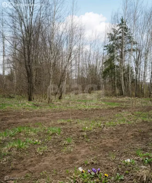 Участок в Ярославский муниципальный округ, СНТ Русьмебель, сад 2 (14 ... - Фото 1
