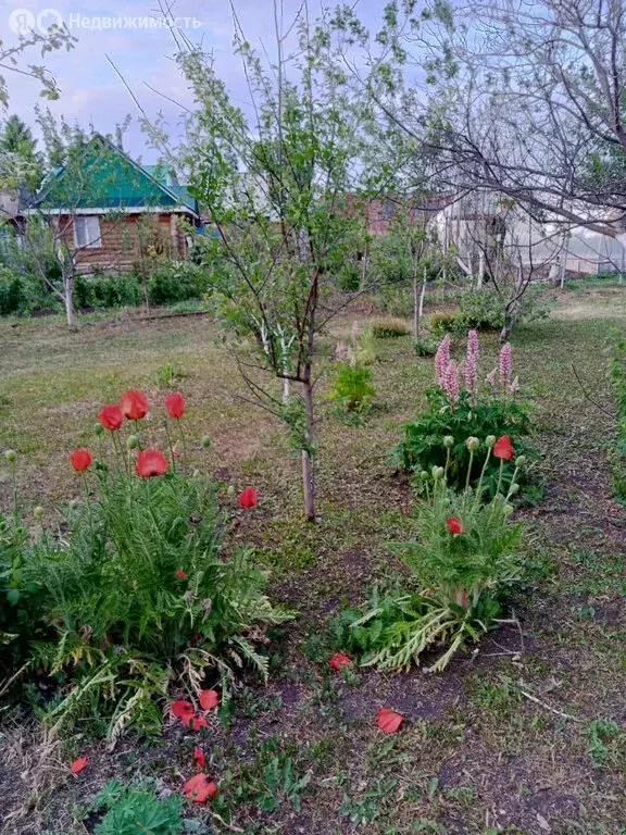 Участок в деревня Крючевка, Родниковая улица, 7 (15 м) - Фото 1