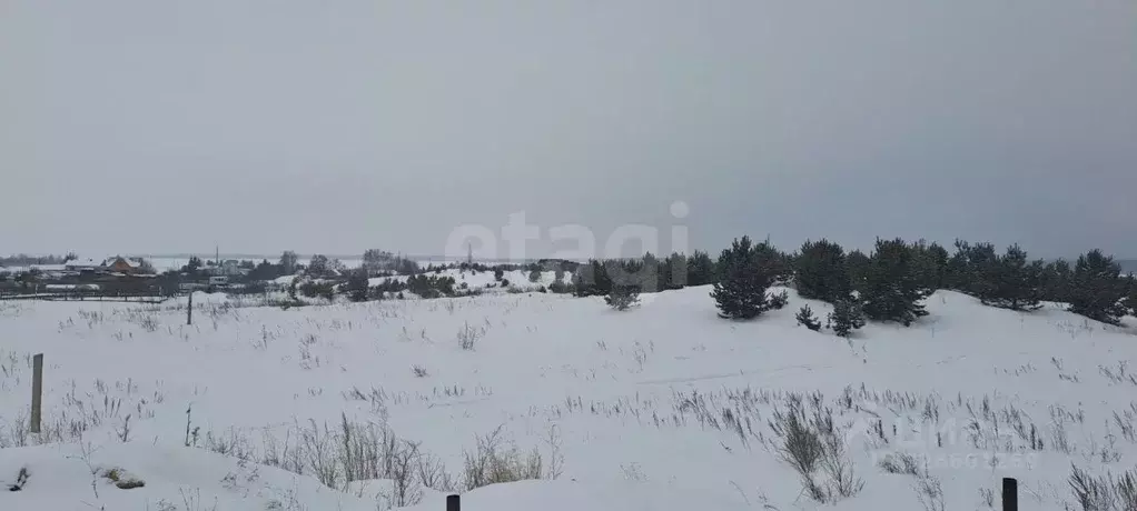 Участок в Челябинская область, Касли ул. Заветы Ильича (15.0 сот.) - Фото 1