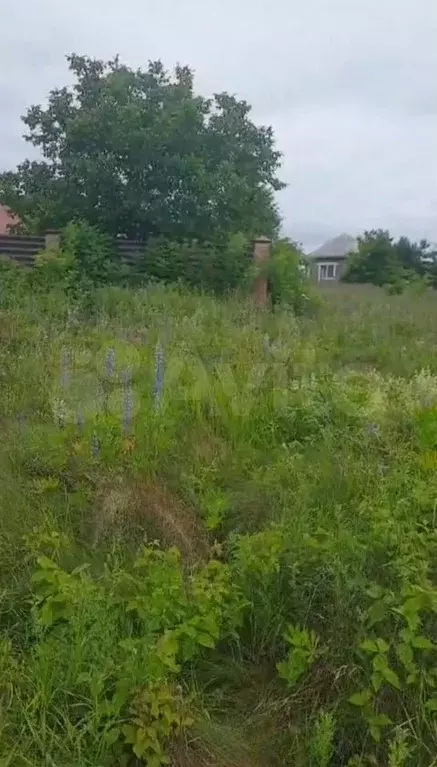 Участок 6 сот. (СНТ, ДНП) - Фото 1