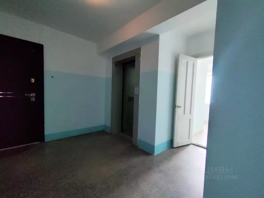 2-к кв. Алтайский край, Барнаул Лазурная ул., 51 (60.0 м) - Фото 2