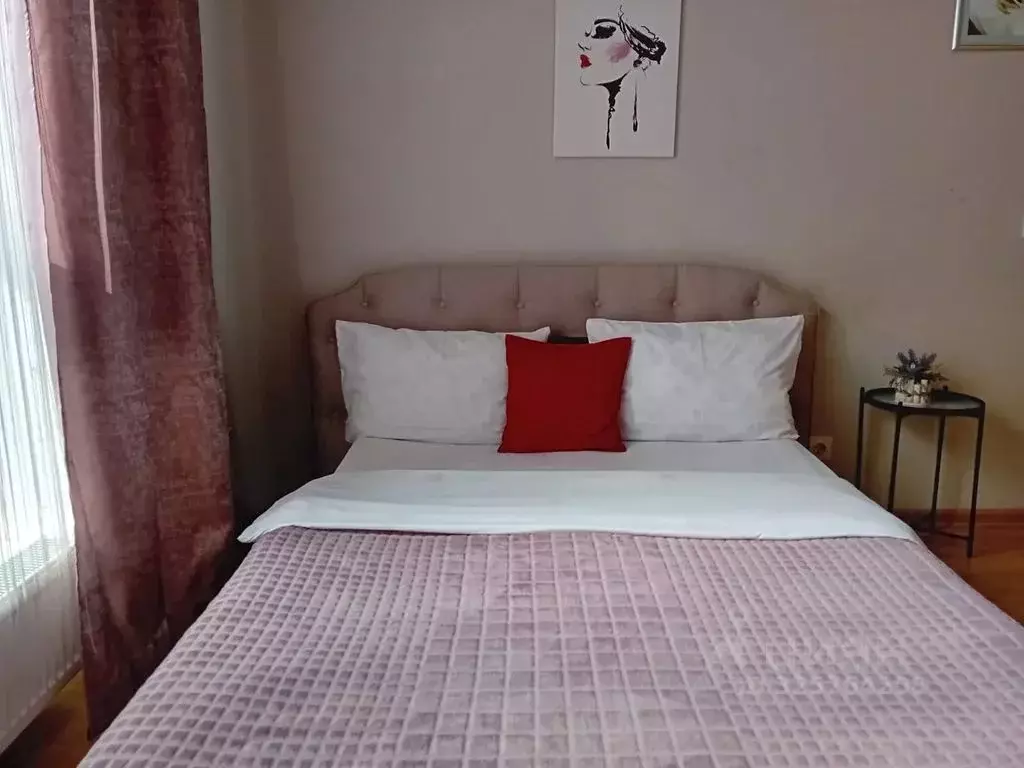 1-к кв. Санкт-Петербург пос. Парголово, проезд Толубеевский, 8к2 (20.0 ... - Фото 1