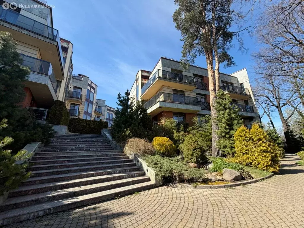 Квартира-студия: Санкт-Петербург, Большая Озёрная улица, 59 (113 м) - Фото 1