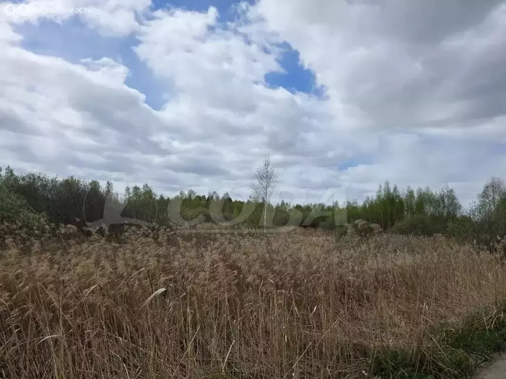 Участок в Тюмень, Центральный округ (7.9 м) - Фото 1
