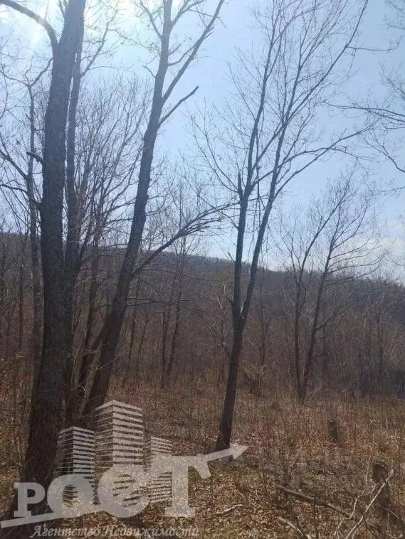 Участок в Приморский край, Артем ул. Фрунзе (10.0 сот.) - Фото 2