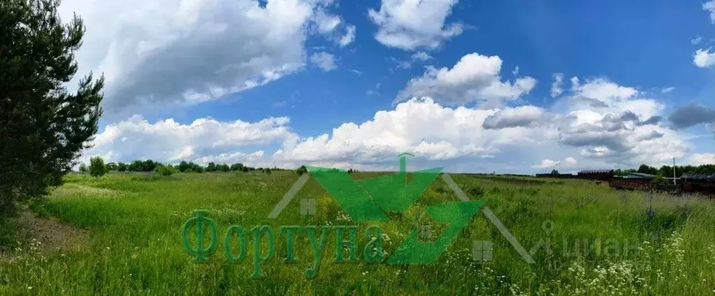 Участок в Владимирская область, Кольчугинский район, Ильинское ... - Фото 1