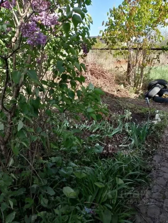 Участок в Саратовская область, Строитель-3 СНТ 74 (5.49 сот.) - Фото 1