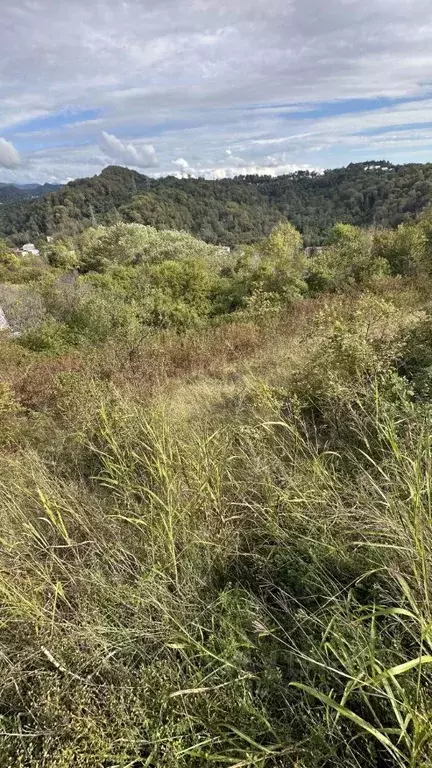 Участок в Краснодарский край, Сочи городской округ, с. Горное Лоо ул. ... - Фото 1