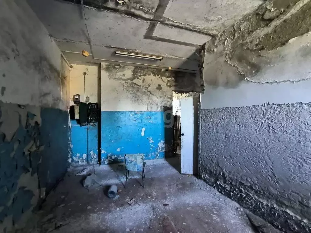 Помещение свободного назначения в Ямало-Ненецкий АО, Тарко-Сале ... - Фото 2