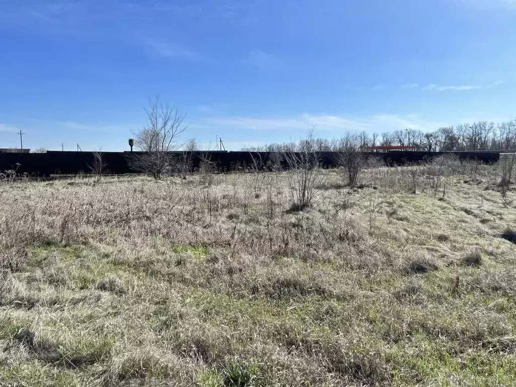 Участок в Воронежская область, Новоусманский район, с. Рогачевка ... - Фото 0